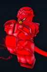 RED RHCP